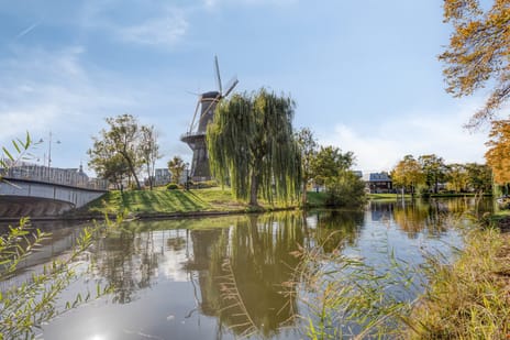 Rijnsburgersingel 52 tertiary image