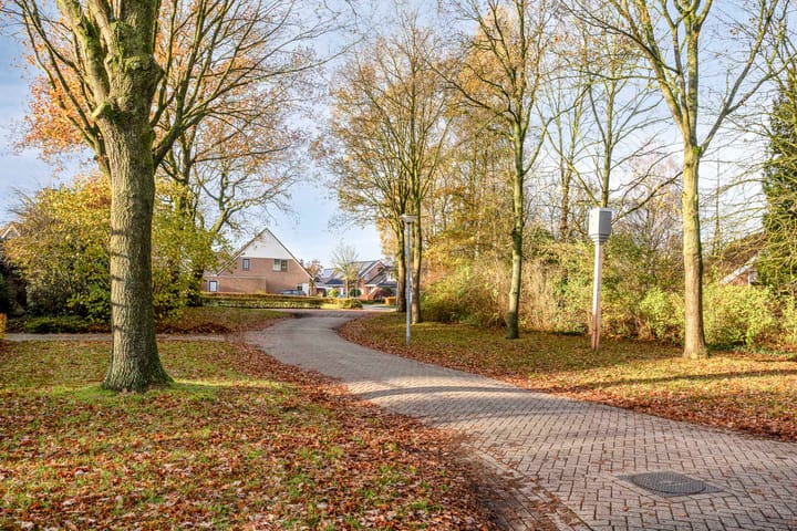 Photo 47 of De Lijnstukken 21