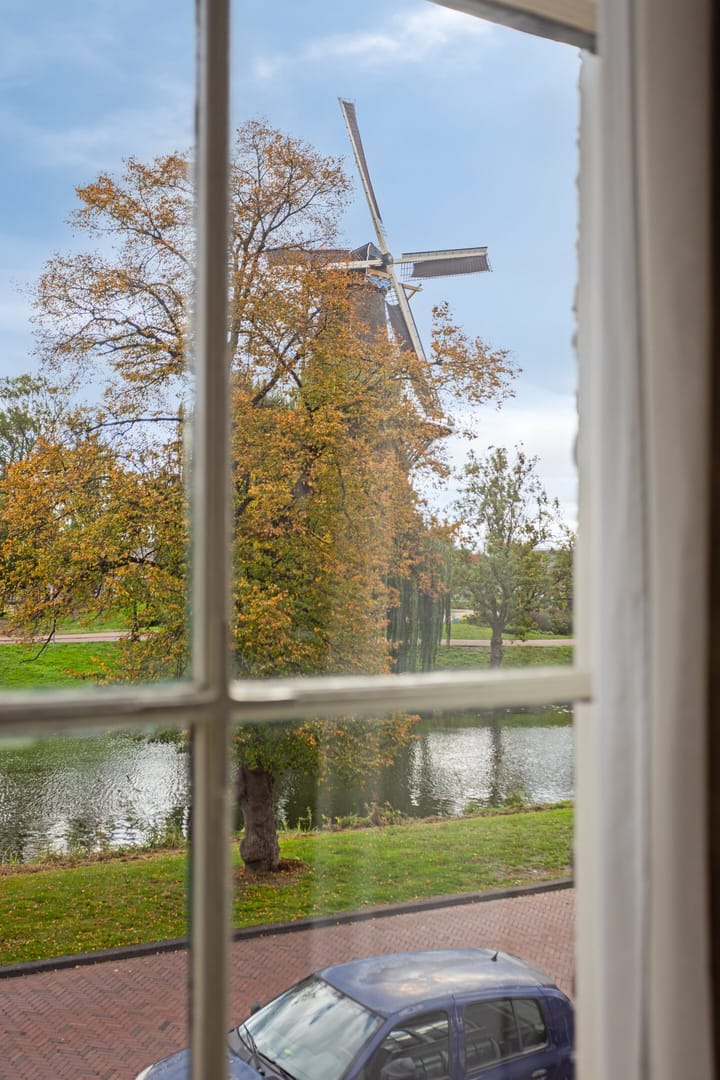 Foto 30 van Rijnsburgersingel 52