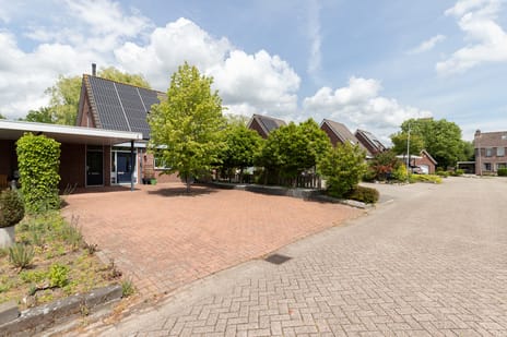 Pinksterbloem thumbnail