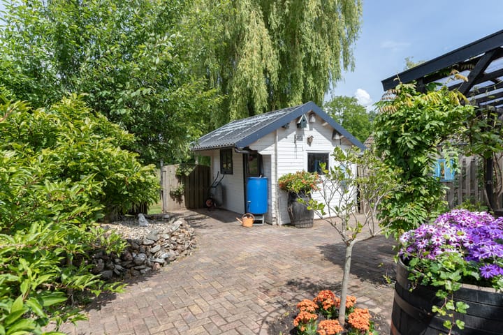 Photo 23 of Pinksterbloem 12