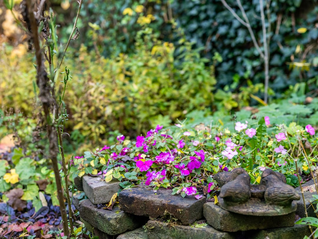 Foto 17 van Warnsveldseweg 31