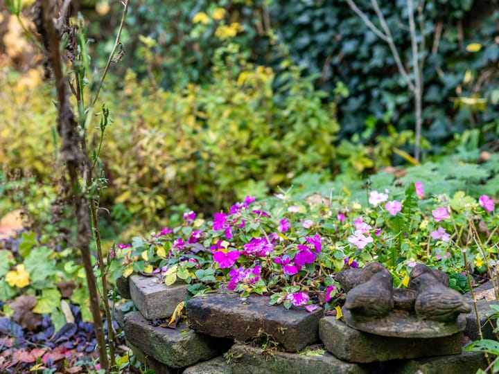 Photo 17 of Warnsveldseweg 31