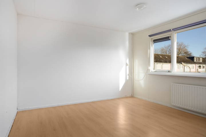 Foto 14 van Heilige Stoel 3924