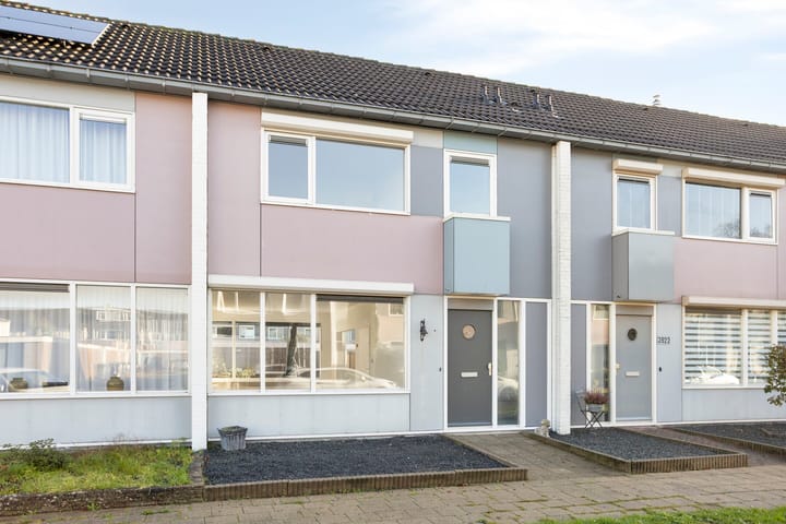 Foto 24 van Heilige Stoel 3924