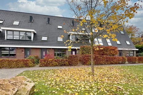 undefined main image