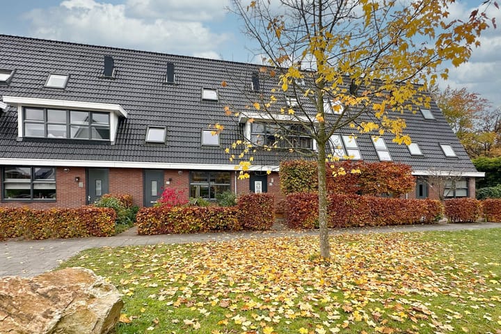 Samuel de Marezhof 61 main image