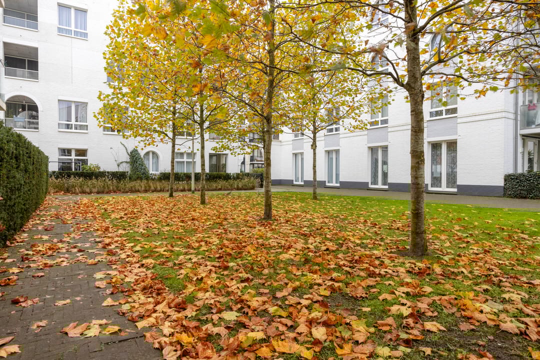 Foto 2 van Clarissenhof 478