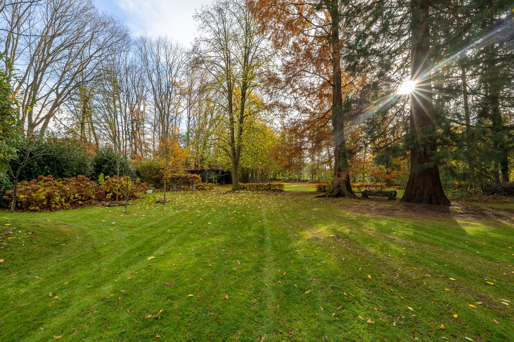 Foto 36 van Joppelaan 60