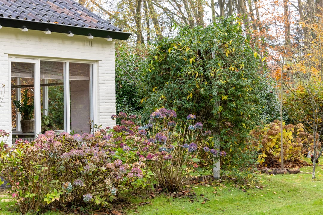 Foto 43 van Joppelaan 60