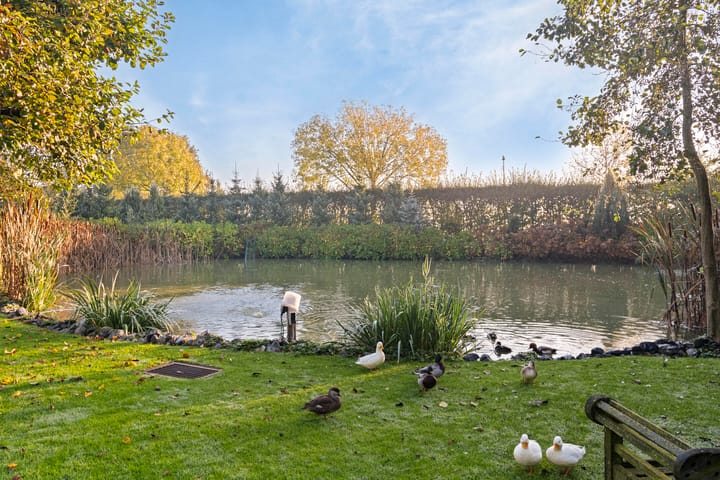 Photo 37 of Beerseweg 5