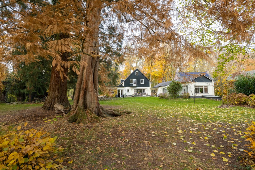 Foto 67 van Joppelaan 60