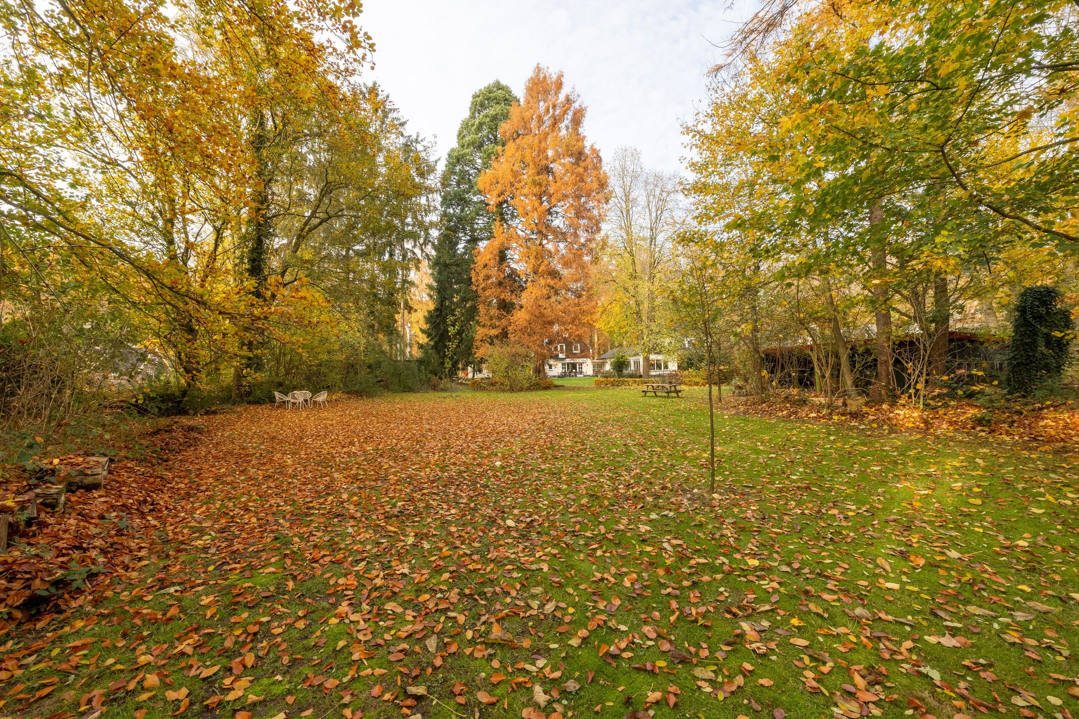 Foto 69 van Joppelaan 60