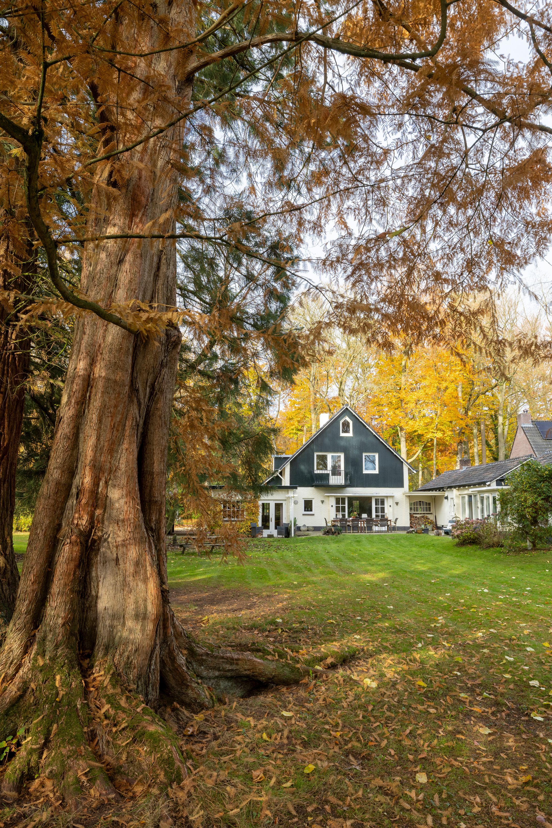 Foto 72 van Joppelaan 60