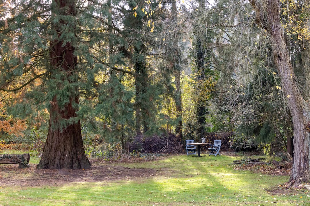 Foto 73 van Joppelaan 60