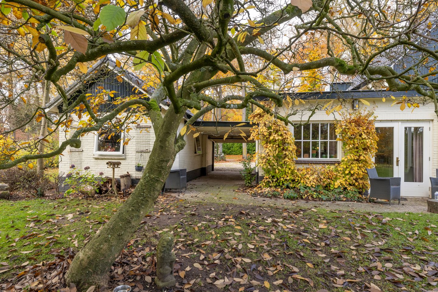 Foto 74 van Joppelaan 60