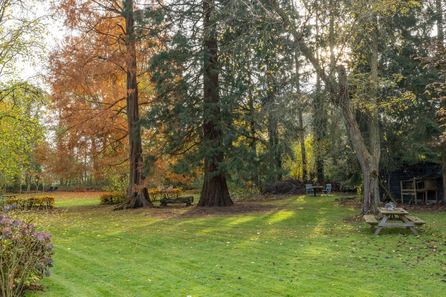 Foto 80 van Joppelaan 60