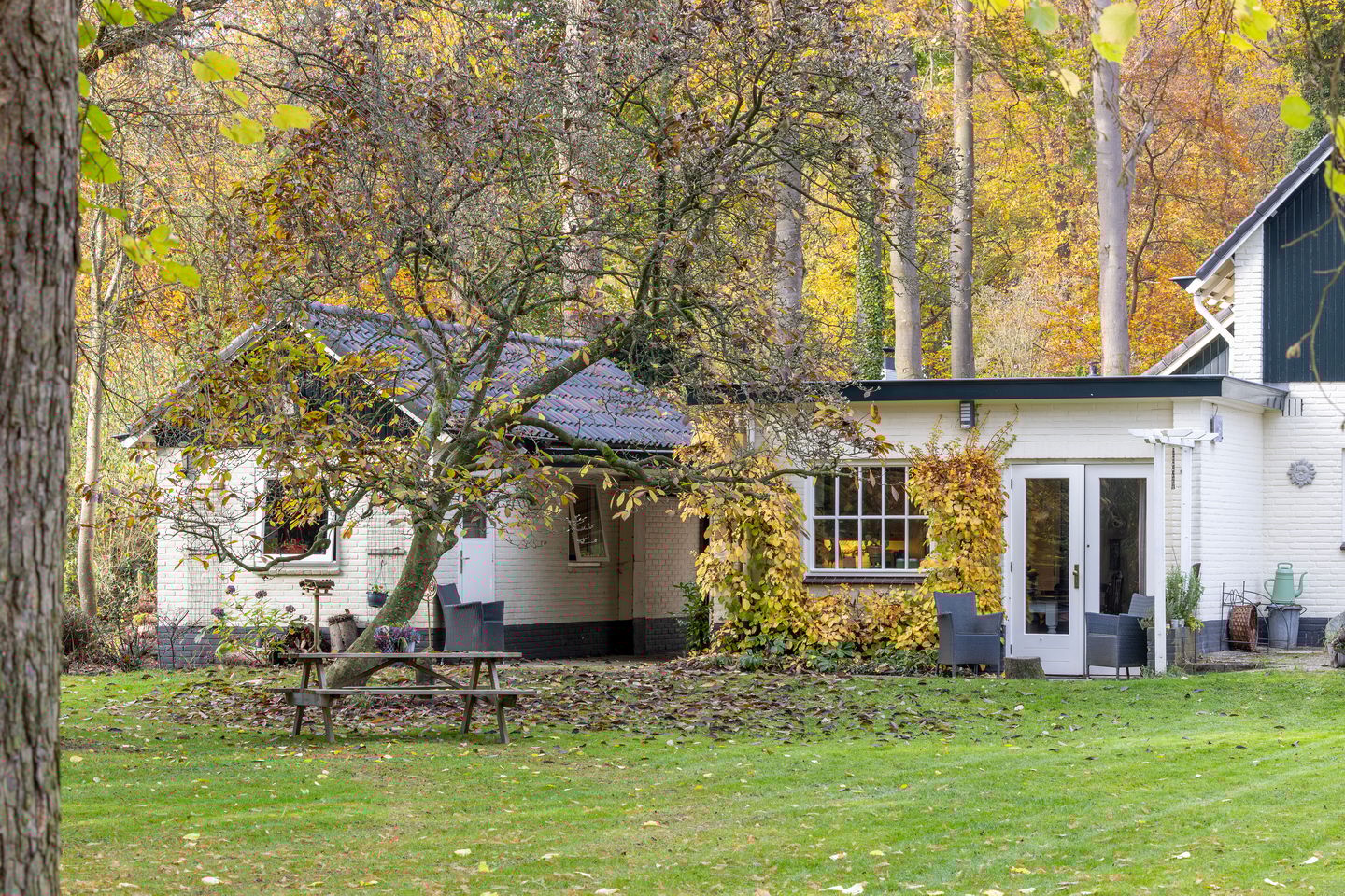 Foto 85 van Joppelaan 60