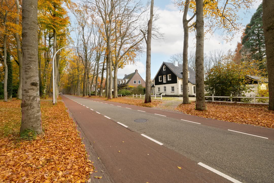 Foto 91 van Joppelaan 60