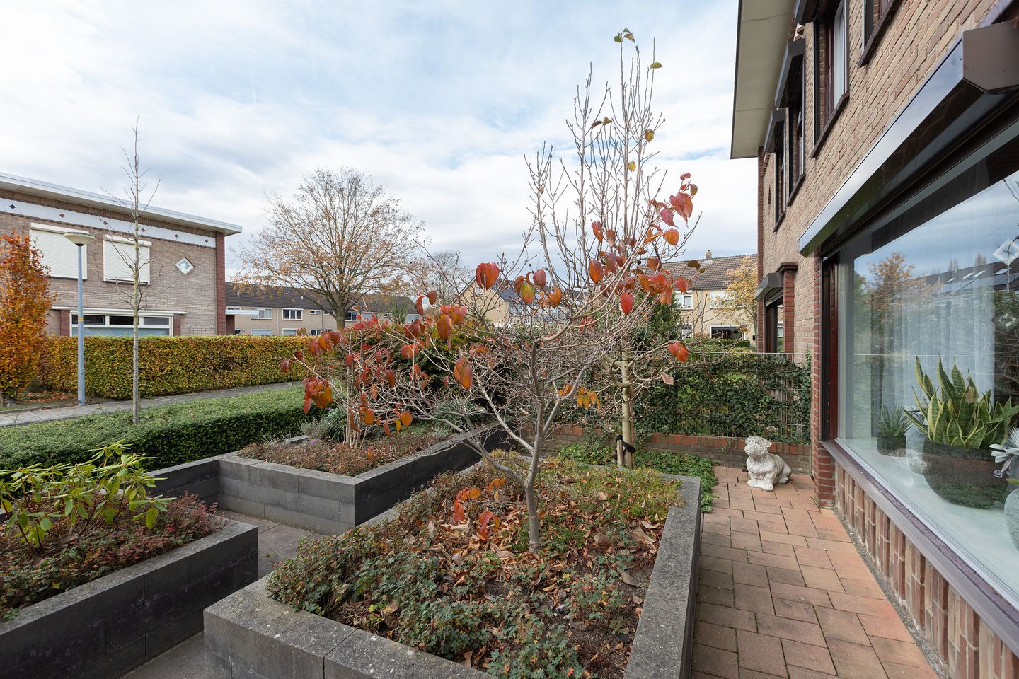 Foto 34 van Frans Halsstraat 18