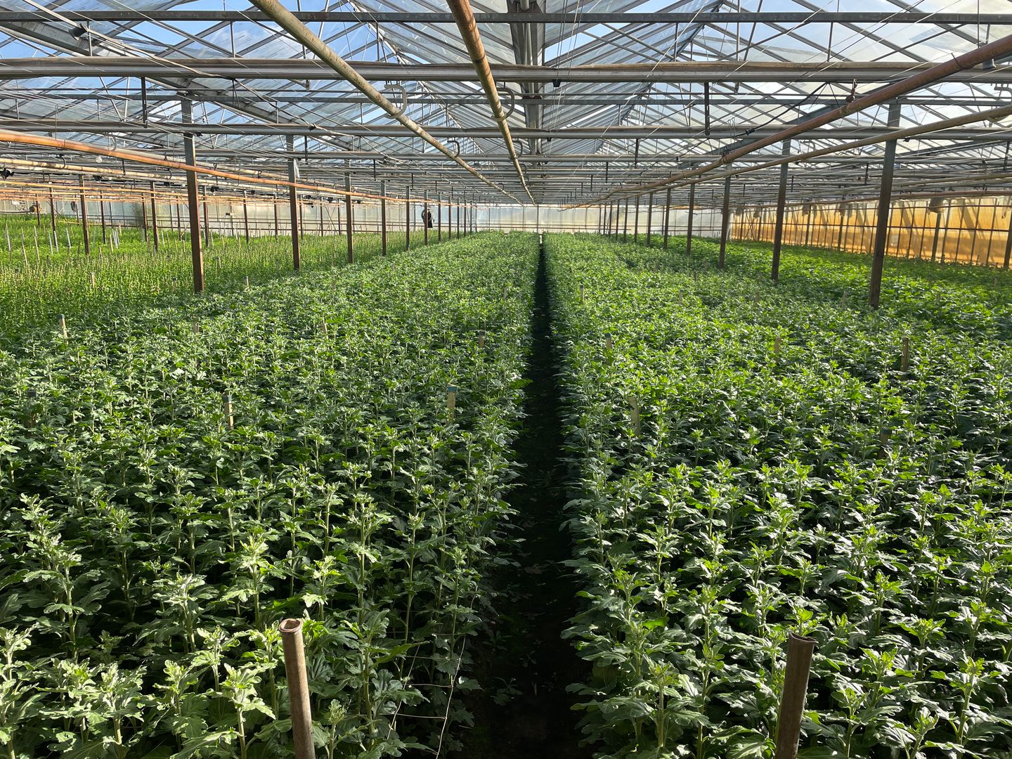 Bekijk foto 2 van Rietkampseweg 1-a