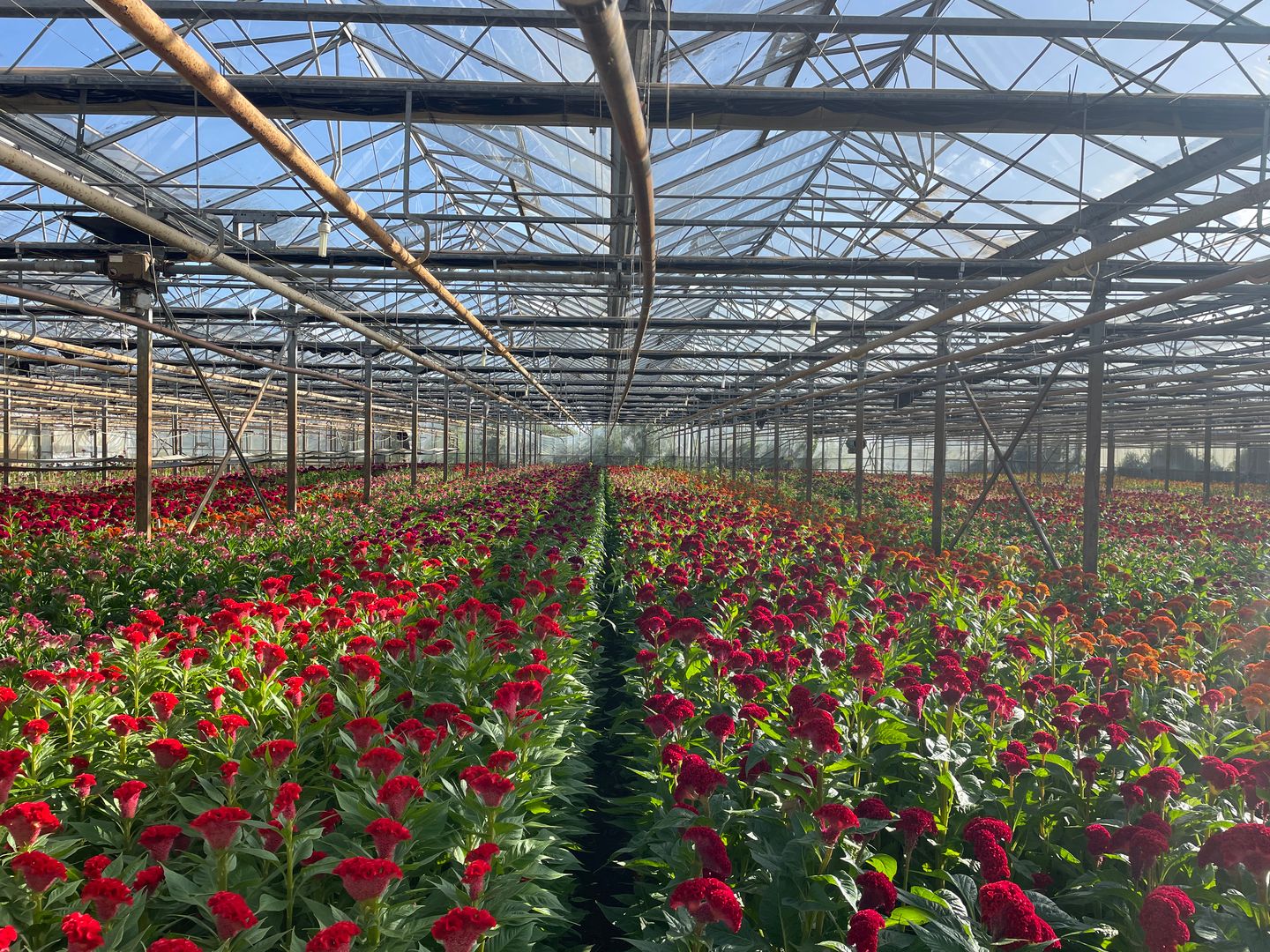 Bekijk foto 3 van Rietkampseweg 1-a