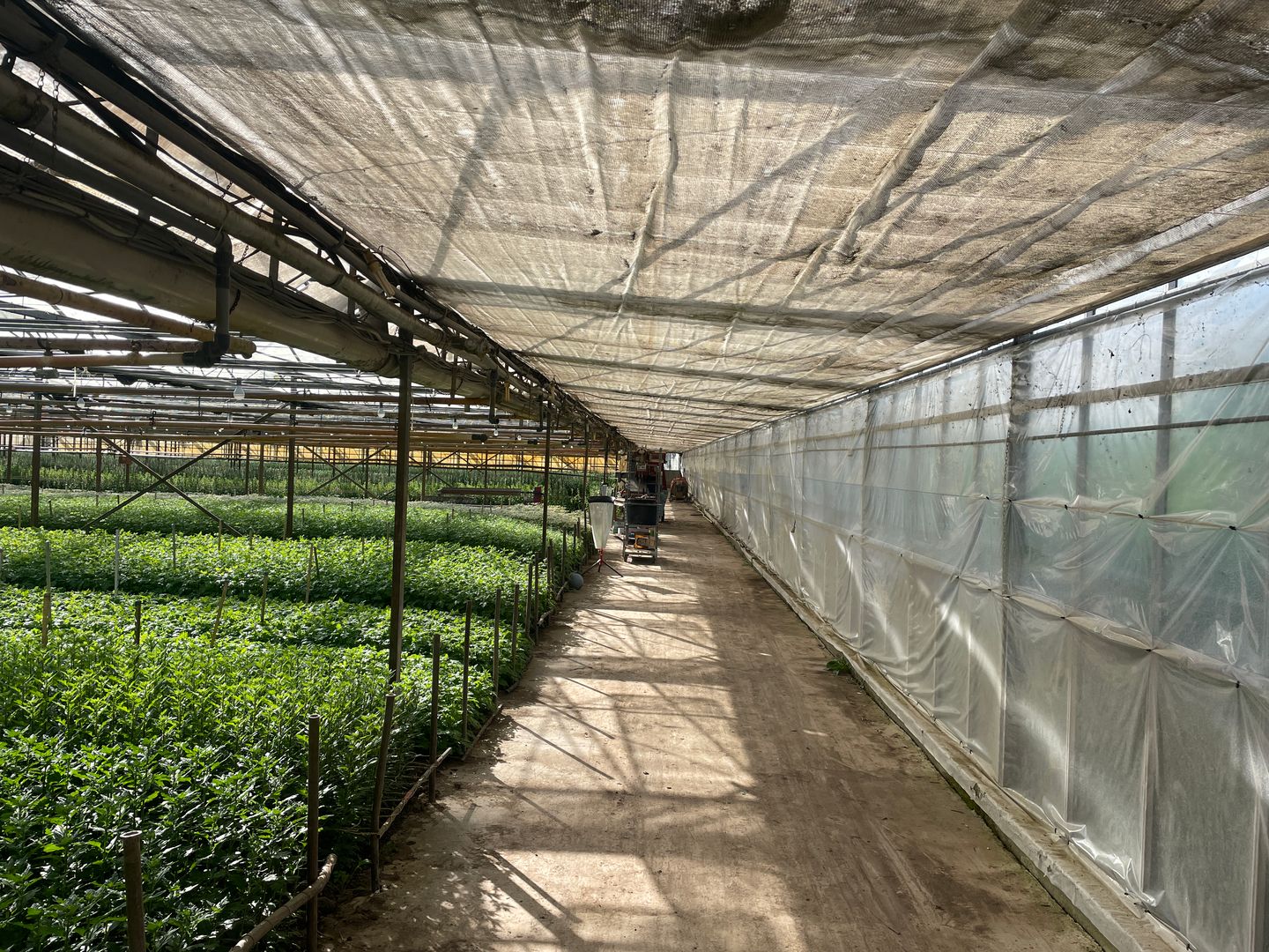 Bekijk foto 4 van Rietkampseweg 1-a