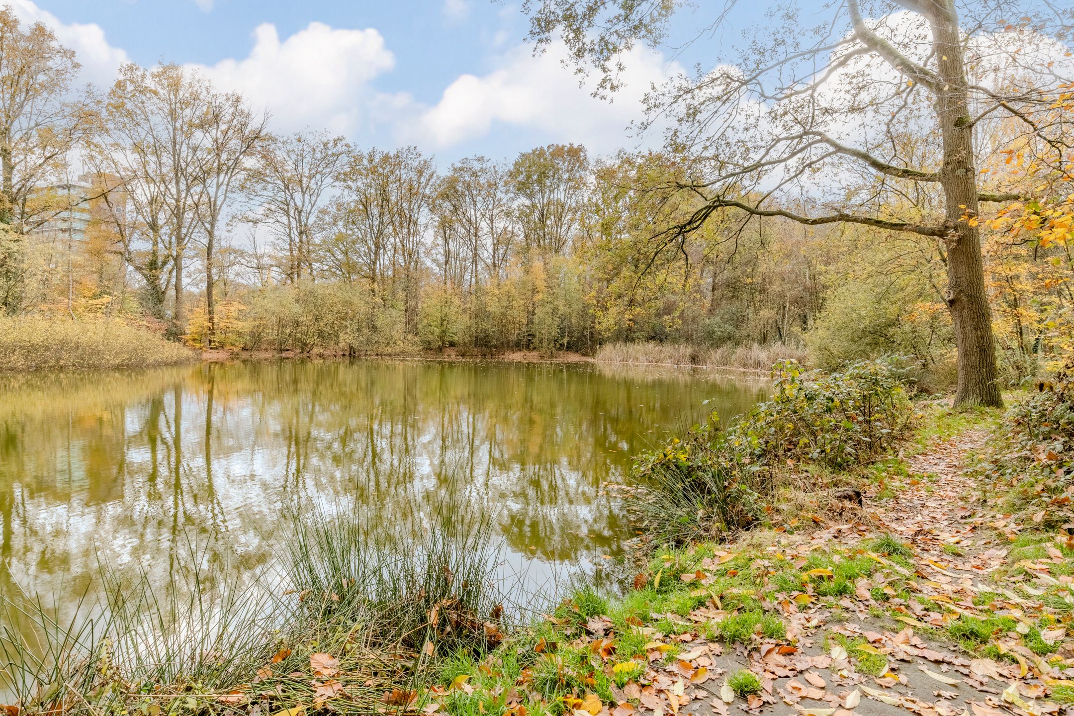 Photo 39 of Montfortanenlaan 102