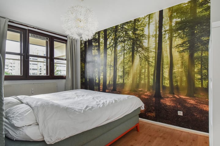 Foto 24 van Pisuissestraat 357