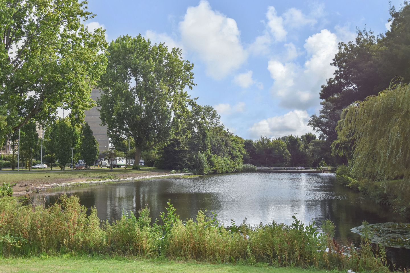 Foto 40 van Pisuissestraat 357