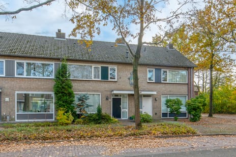 undefined main image