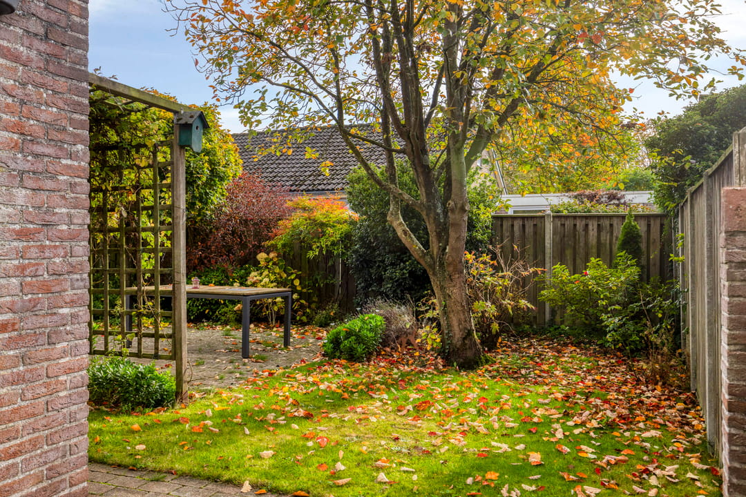 Photo 26 of Olmenstraat 36-A