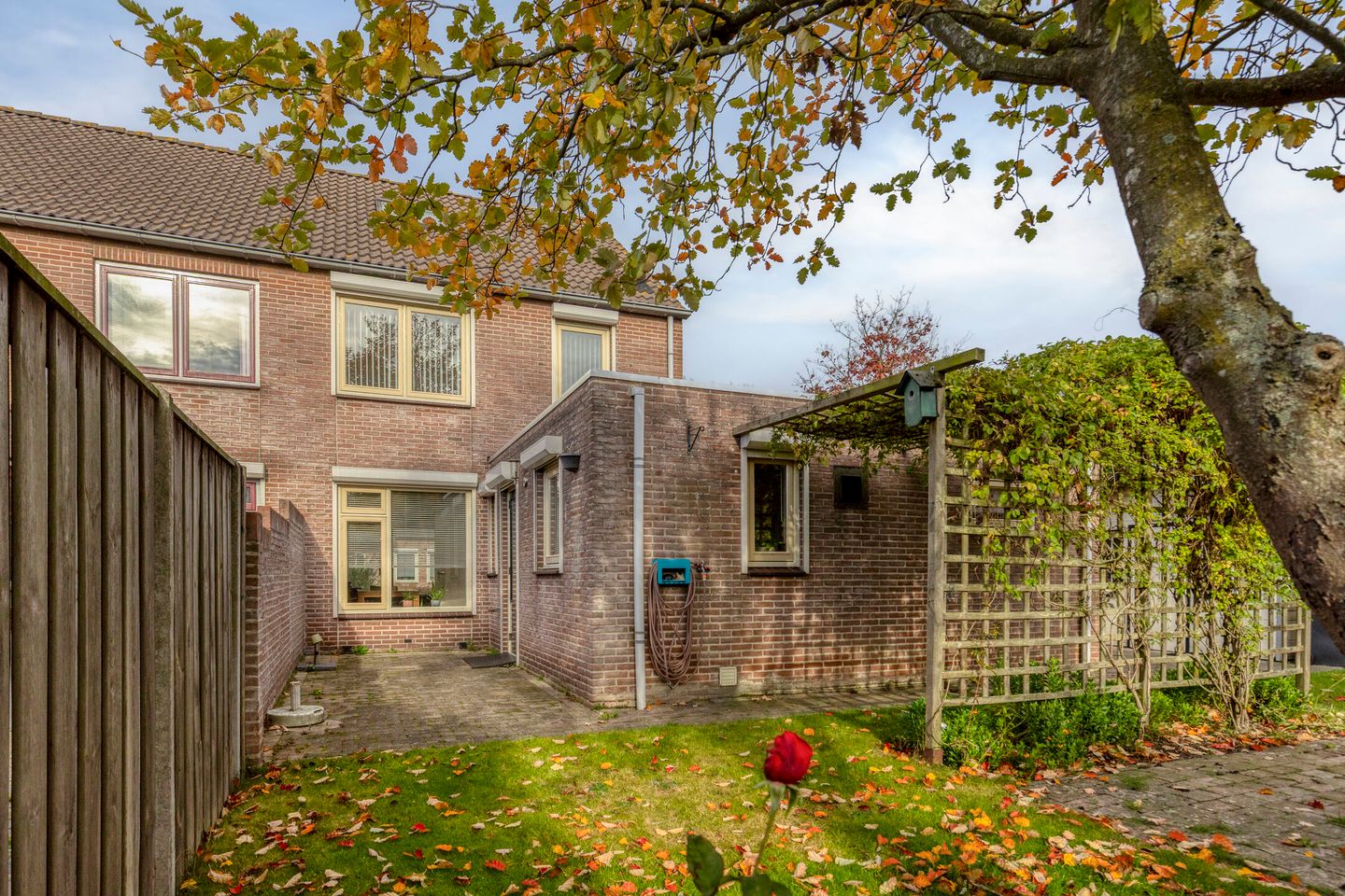 Photo 29 of Olmenstraat 36-A