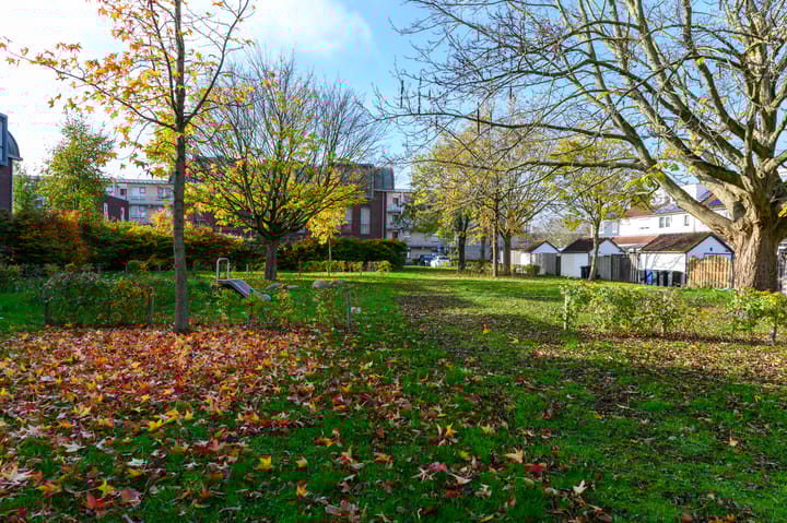 Photo 34 of Walvisplein 103