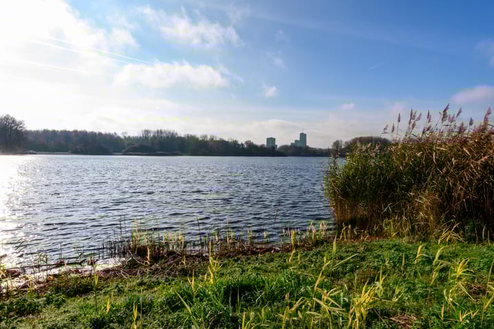 Photo 38 of Walvisplein 103