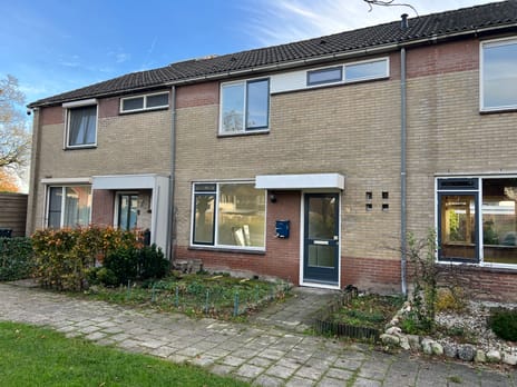 undefined main image