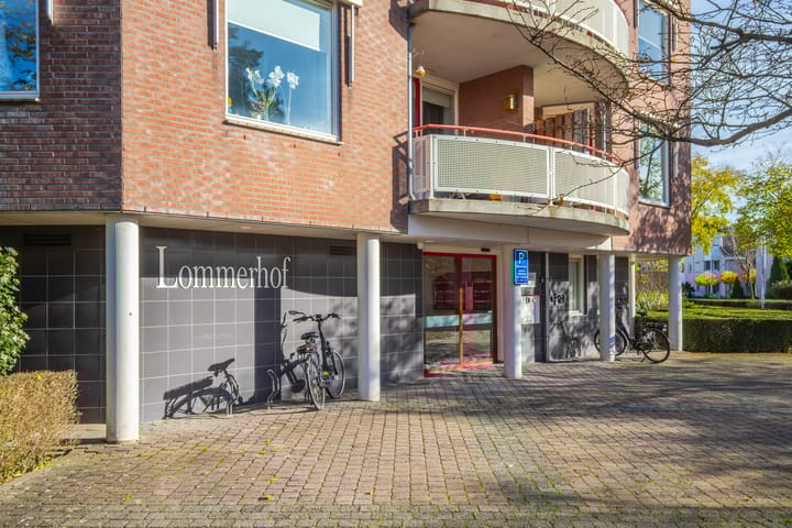 Photo 8 of Schapenweide 36