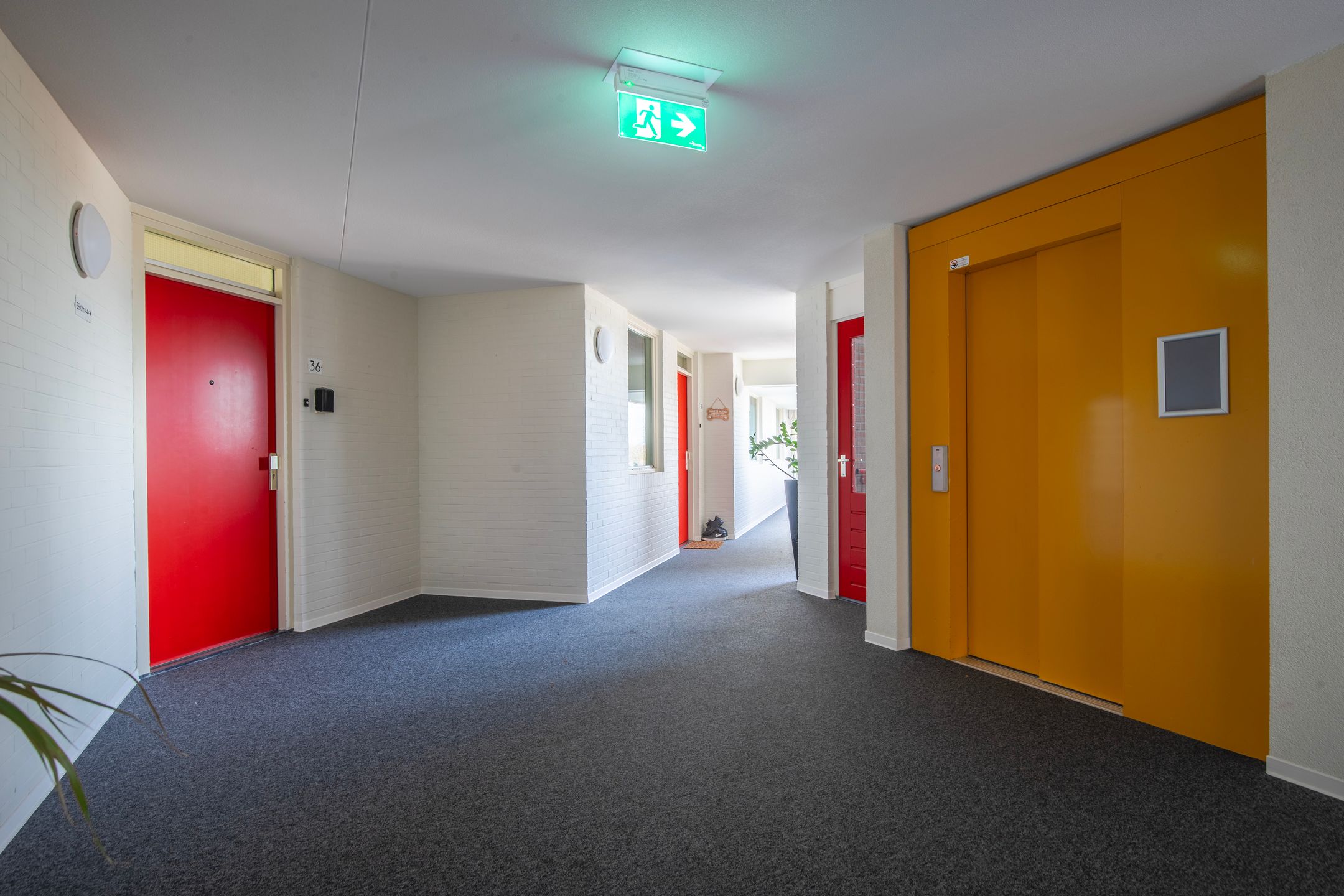 Foto 9 van Schapenweide 36