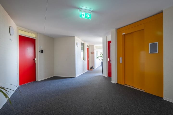 Photo 9 of Schapenweide 36