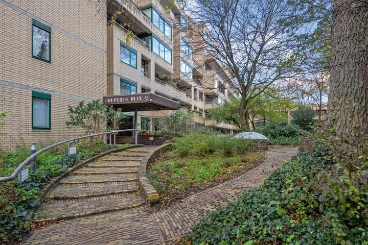 Photo 6 of Burgemeester Patijnlaan 452