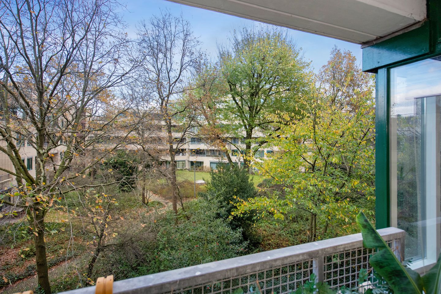 Foto 19 van Burgemeester Patijnlaan 452