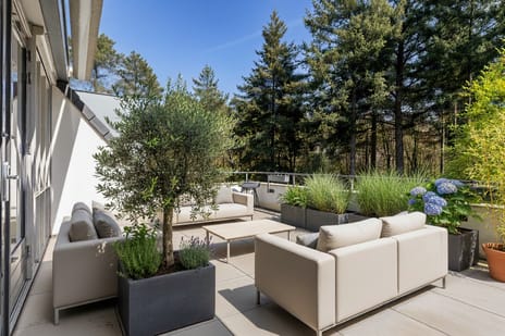 Palisiumpark 26 secondary image