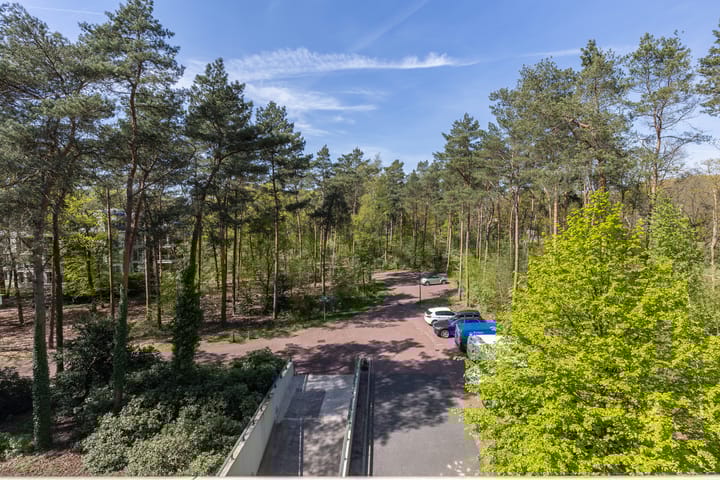 Photo 4 of Palisiumpark 26