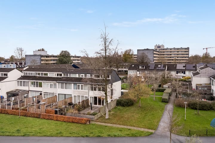 Photo 5 of Raaigras 317