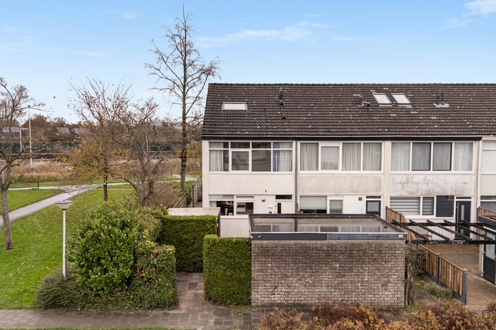 Photo 8 of Raaigras 317