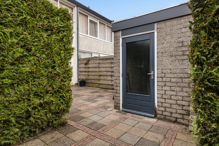 Photo 10 of Raaigras 317