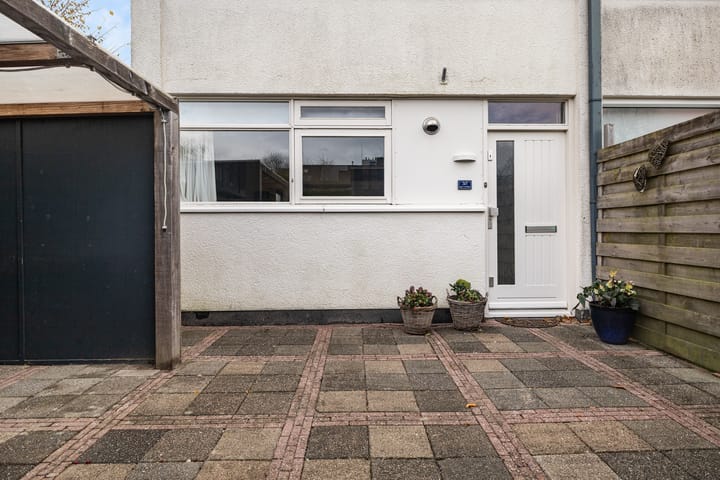 Photo 11 of Raaigras 317