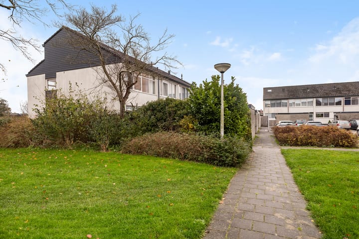 Photo 45 of Raaigras 317