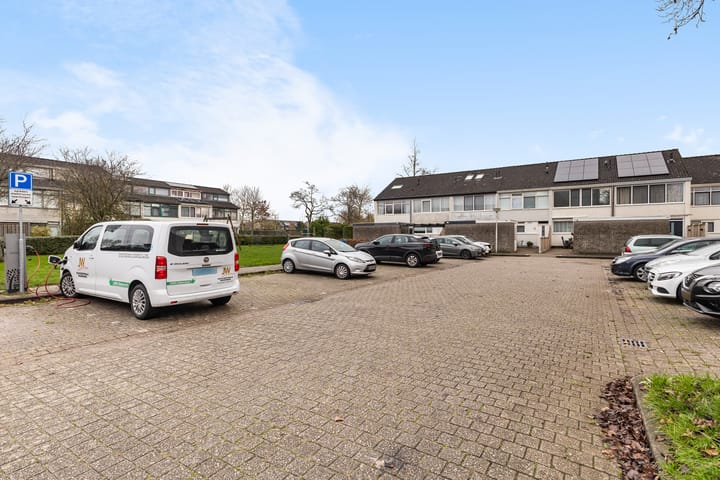 Photo 46 of Raaigras 317