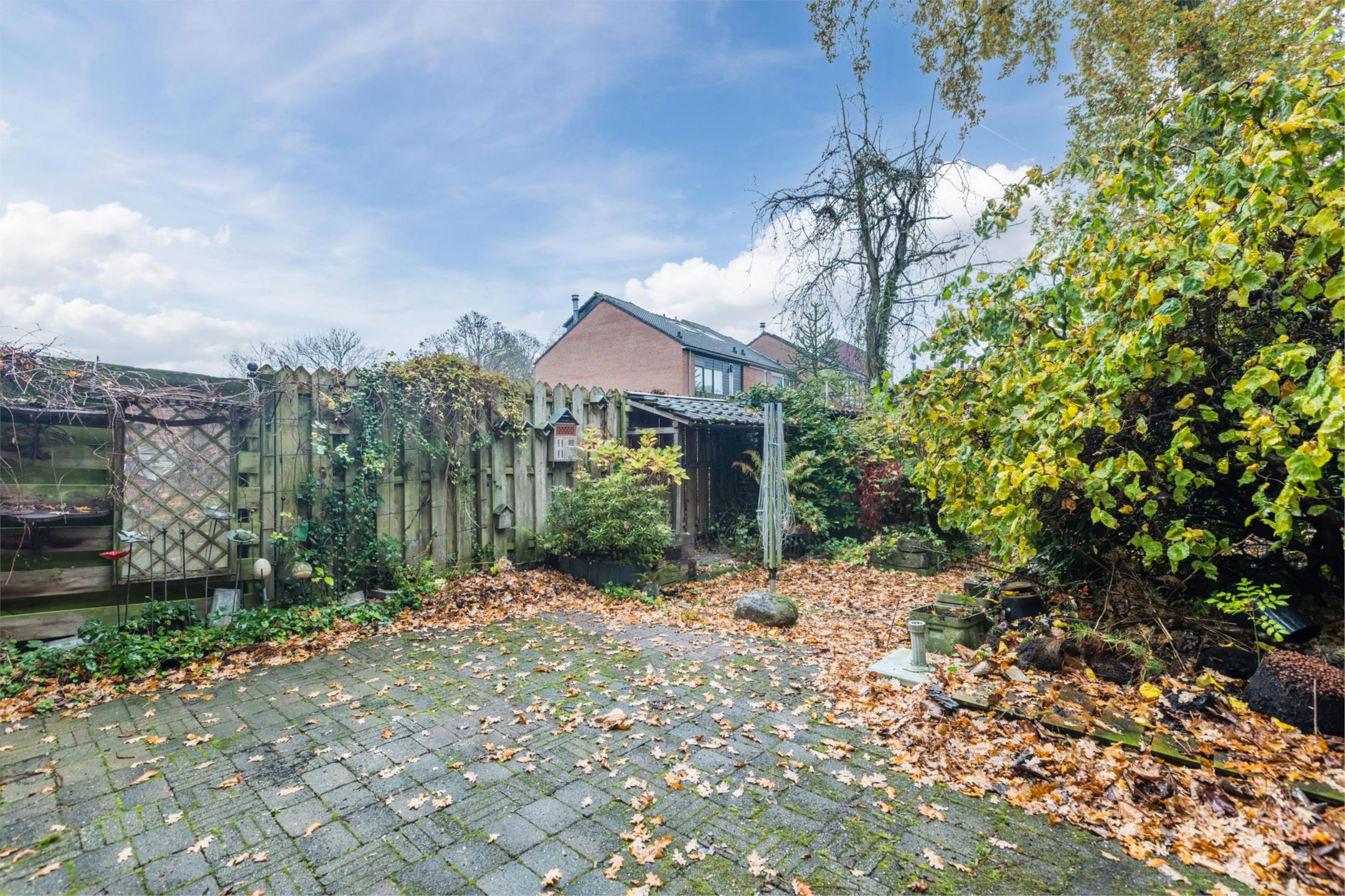 Foto 39 van Fluitekamp 110